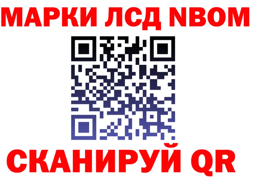Alfa_PVP СК КРИС вход площадка MEGA Кадников
